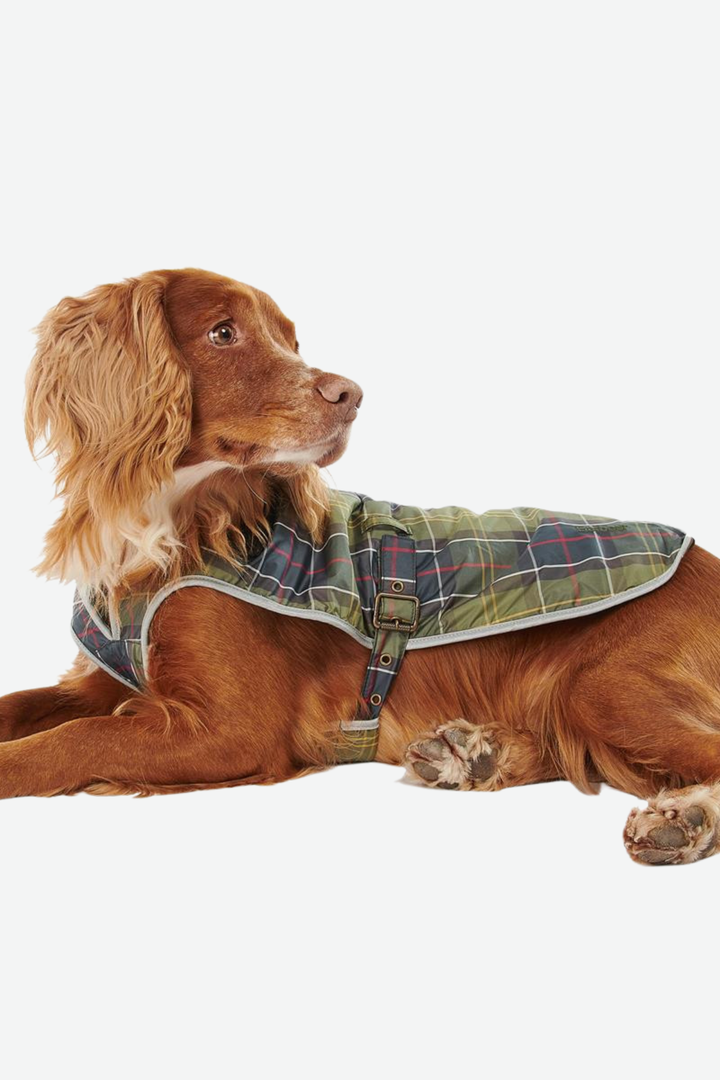 Tartan Waterproof Dog Coat (Classic Tartan)
