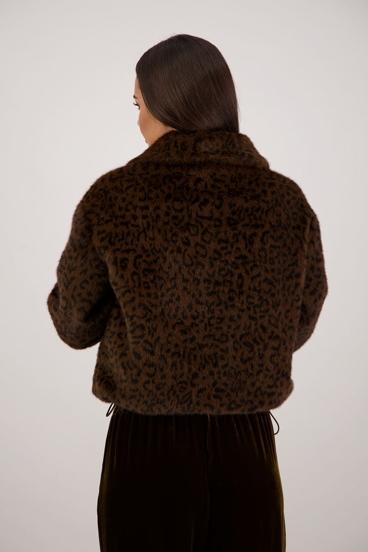 Roper Jacket (Brown)
