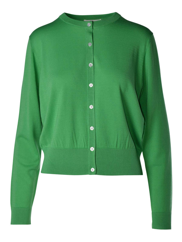 Boquette Cardi (Spring Green)