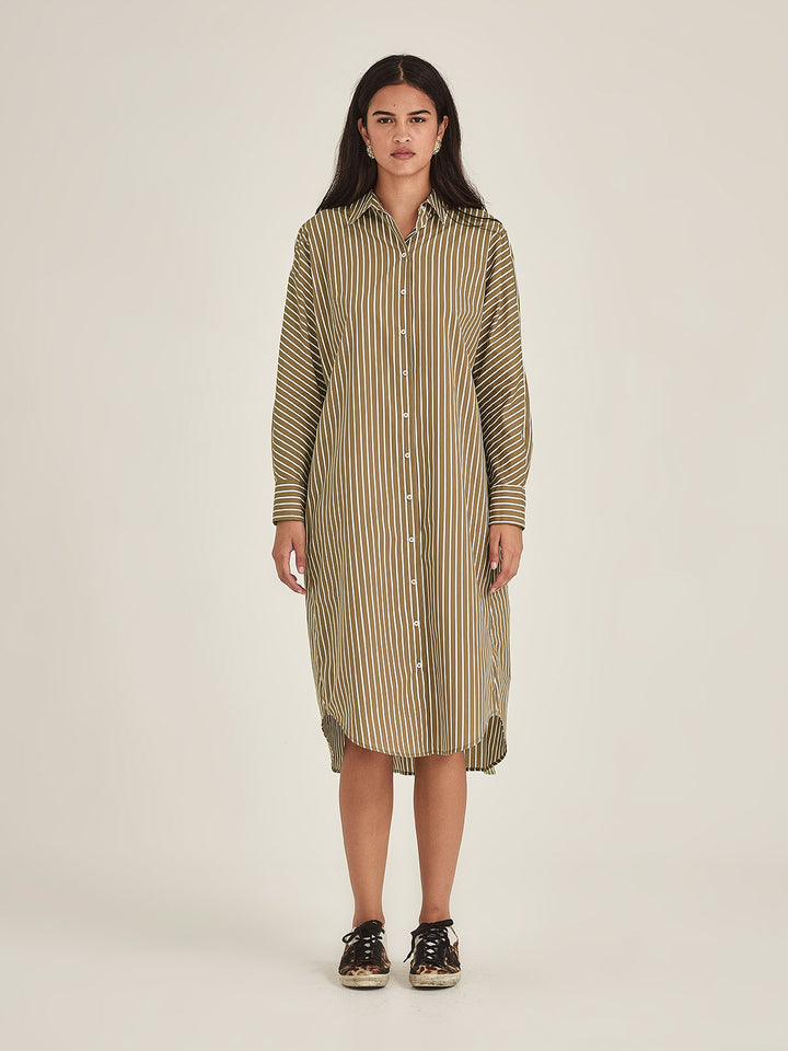 Jules Stripe Shirt Dress (Tan Stripe)