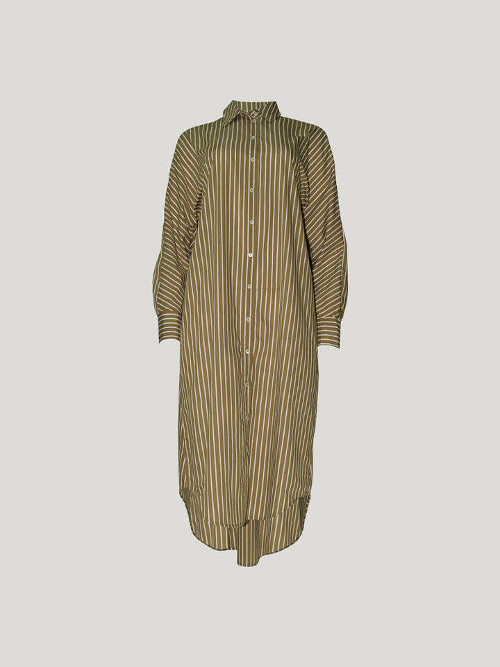 Jules Stripe Shirt Dress (Tan Stripe)