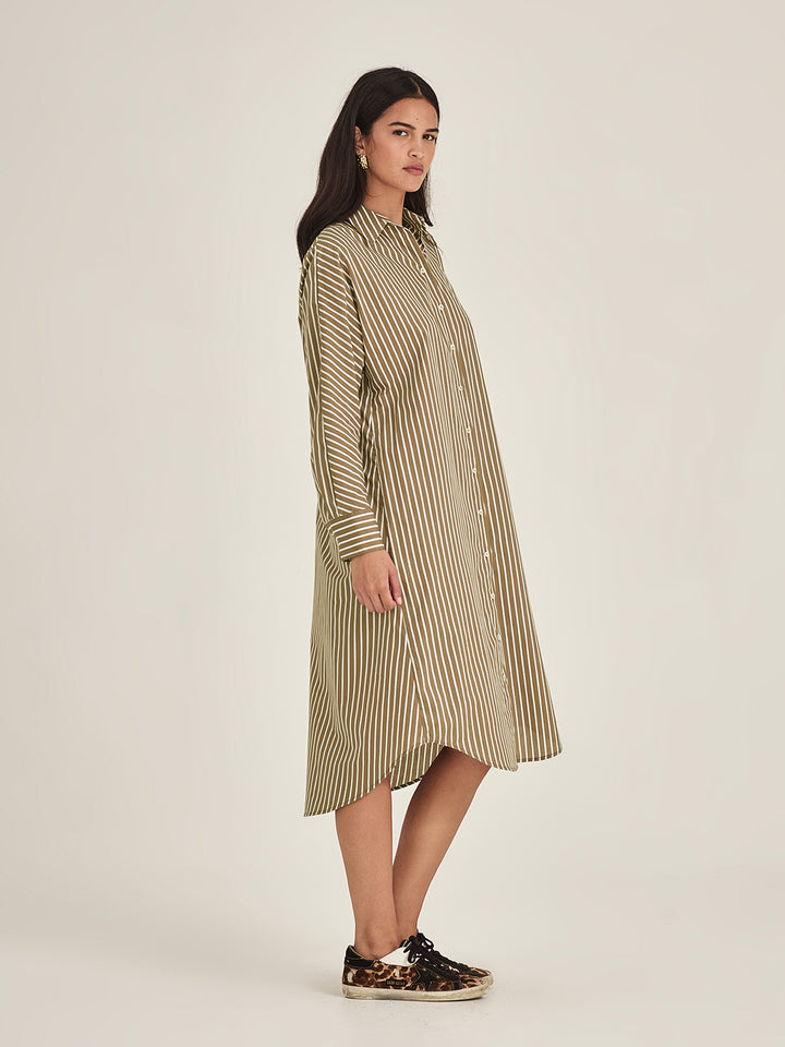 Jules Stripe Shirt Dress (Tan Stripe)