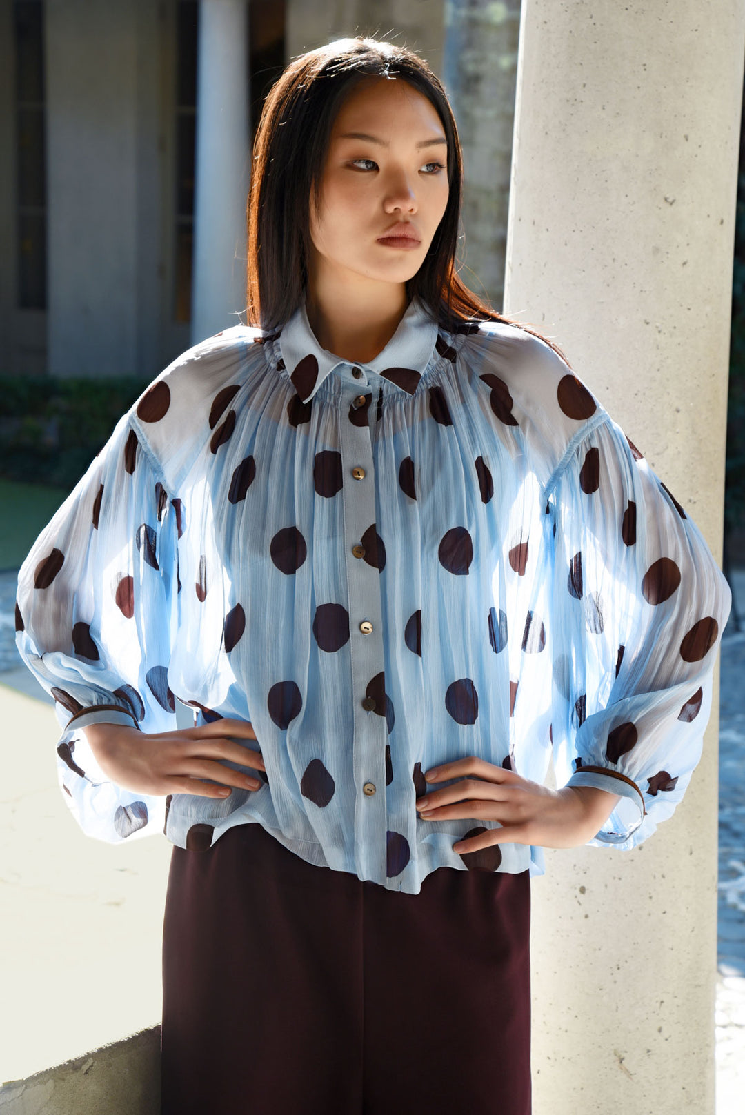 TWEEDLE DEE Blouse (Blue / Chocolate spot)