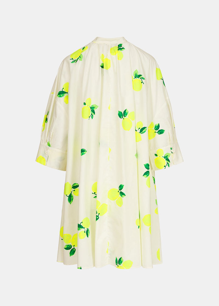 DIMI Dress (White)